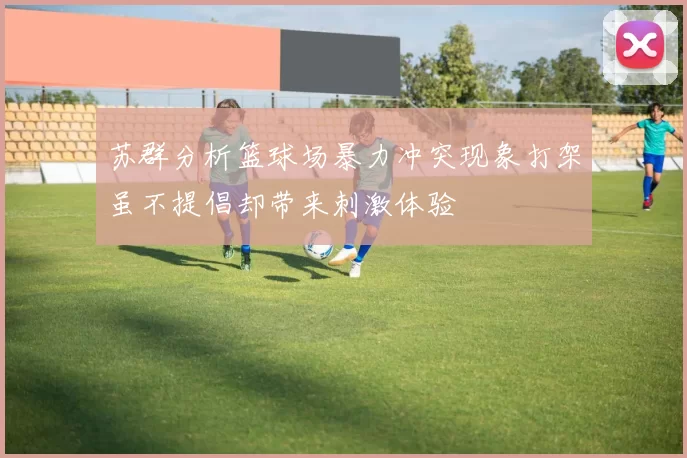 苏群分析篮球场暴力冲突现象打架虽不提倡却带来刺激体验